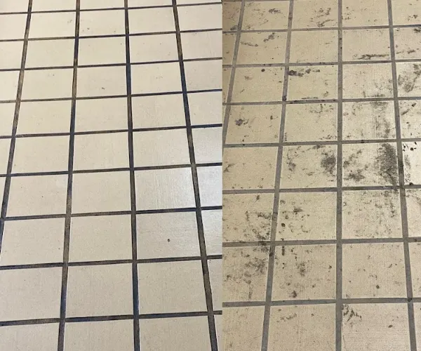 Professional janitorial company